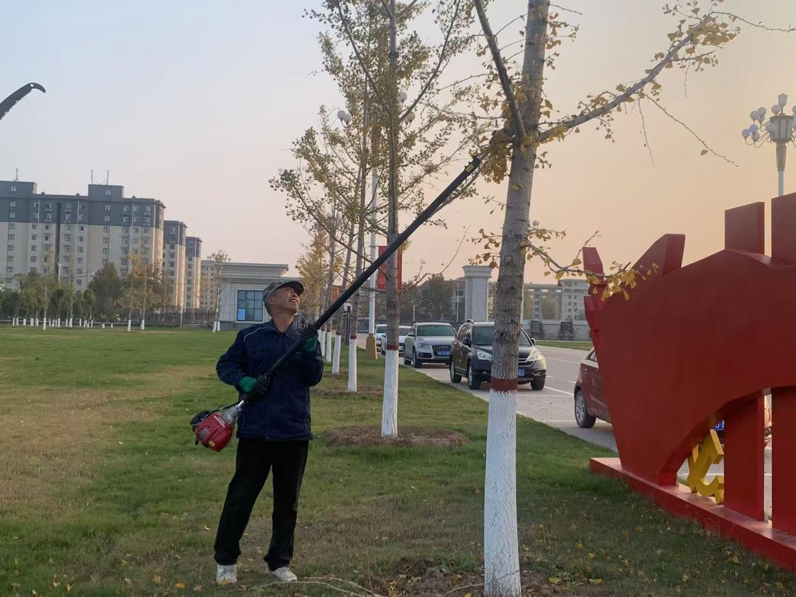 图片30.png 图片30.png