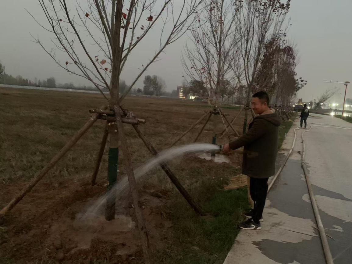 图片33.png 图片33.png