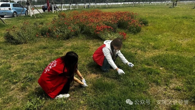 劳动文化节||经济与管理学院开展绿植养护主题实践活动1.jpg